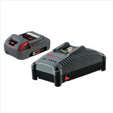 IQV® 20V Series 2.5Ah Lithium-Ion Battery and Charger Kit for Ingersoll Rand Power Tools