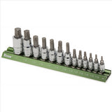 TITAN 13 Pc. Torx Bit Set